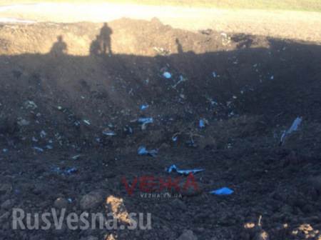 Опубликованы кадры с места крушения украинского истребителя (ФОТО, ВИДЕО)