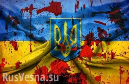 «Значительный ущерб для имиджа нашей страны», — посол Украины отреагировал на инцидент с неонацистами в Риме
