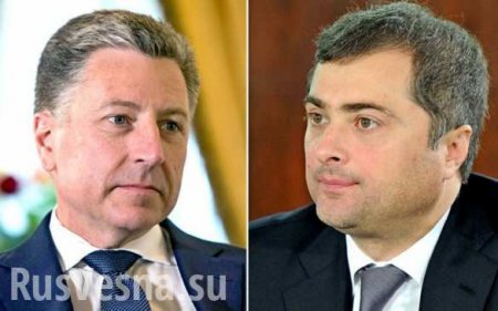 Встреча Суркова и Волкера: о чём собираются беседовать представители России и США?