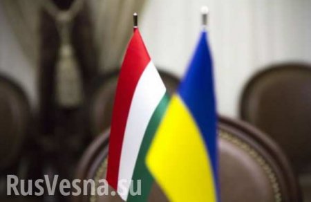 Украина и Венгрия: США приказали дружить!