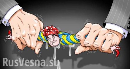 Украинская демократия как механизм одурачивания