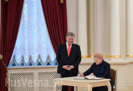 «А чаевые будут?» — в Сети высмеяли фото Порошенко с президентом Литвы (ФОТО)