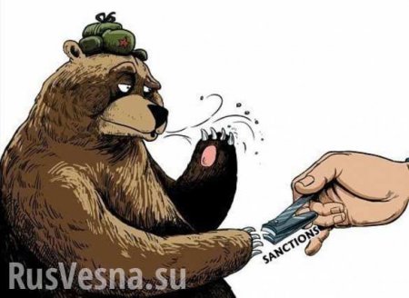 Трагикомедия: В Совфеде прокомментировали слова Порошенко о санкциях против «Единой России»