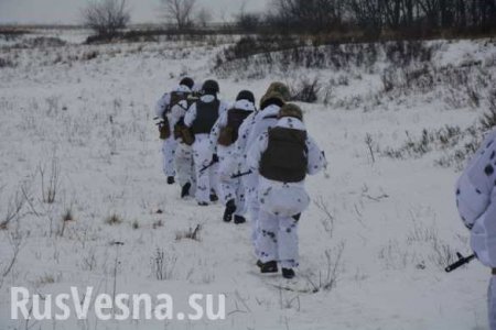 79-я десантно-штурмовая бригада ВСУ готовит провокации: сводка о военной ситуации на Донбассе