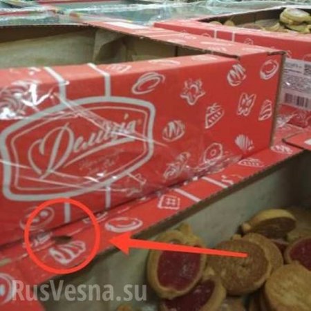 «Разгуливали, как дома», — в супермаркете Мелитополя на коробках с печеньем увидели тараканов (ФОТО)