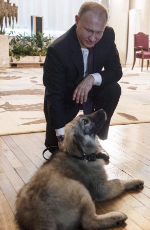 Президент Сербии подарил Путину нового друга (ФОТО, ВИДЕО)