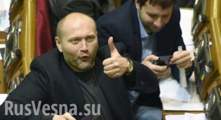 Депутат Рады и украинский журналист напали на российскую телеведущую в ПАСЕ (ВИДЕО)