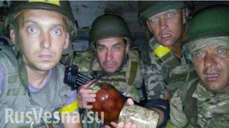 В ВСУ воюют наркоманы и психологи-алкоголики: сводка о военной ситуации на Донбассе