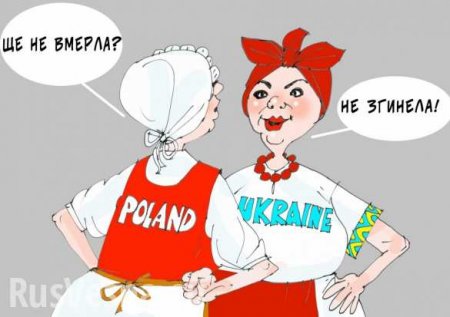 Украина строит «польский мир»