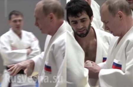 Путин повредил руку на тренировке по дзюдо (ФОТО, ВИДЕО)