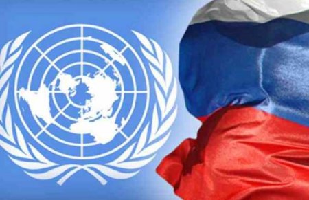 Россия в ООН провела для западных коллег «урок» химии
