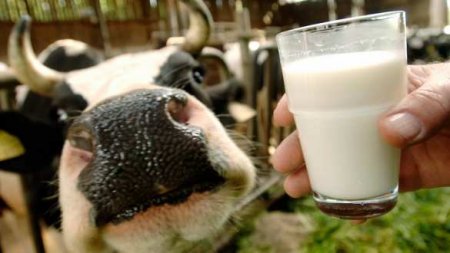 Молокозаводы Украины вслед за пекарями и кондитерами заявили о возможной остановке производства из-за цен на газ 