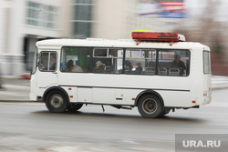 В курганском округе суд заставил власти запустить автобусы между поселками