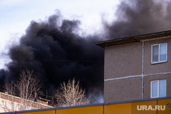 В Екатеринбурге загорелась квартира в жилом доме. Видео