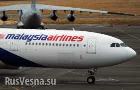 В ДНР обвинили вооруженные силы Украины в катастрофе самолета «Малайзийских авиалиний»