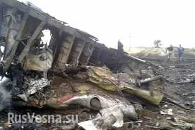 Диспетчер: «Два украинских истребителя были замечены рядом с самолетом перед тем, как он исчез с радаров»