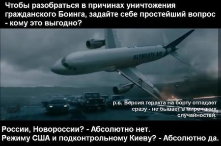 IATA: ответственность за безопасность своего воздушного пространства несет только Украина