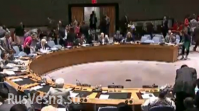 Экстренное заседание Совбеза ООН по гуманитарной ситуации на Украине — прямая трансляция (видео)