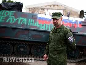 Сводки от штаба Алексея Мозгового за 6 - 7 августа (видео)