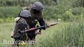 Ополчение: Украинские силовики пытаются окружить Горловку