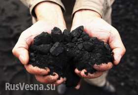 На Украине начались проблемы с углем
