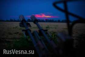 Карательный батальон «Шахтерск» несет потери под Иловайском: 2 убитых, 6 раненых