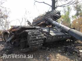 Репортаж из-под Иловайска: как силы ДНР уничтожают врага (фото)