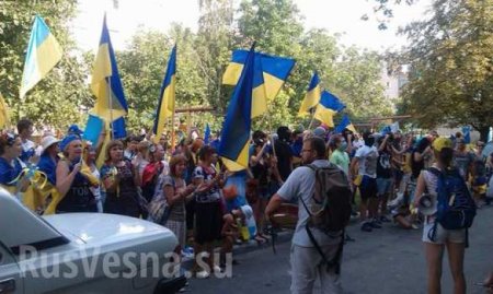 Харьков митингует: толпы фашистов против бесстрашных девушек, женщин и стариков (фото, видео)