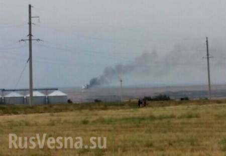 В районе Енакиево сбит украинский истребитель МиГ-29 (видео/фото)