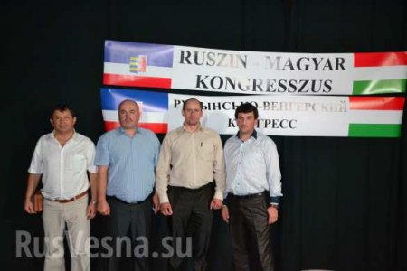 Венгерская и русинская общины Закарпатья объединяют свои усилия в борьбе за федерализацию