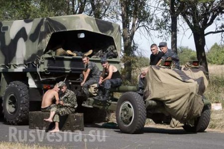 Мариупольские власти в ужасе: впереди – армия ДНР, сзади – шакалы (фото)