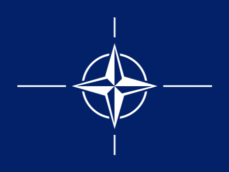 Украина отказывается от внеблокового статуса и берет курс на вступление в НАТО