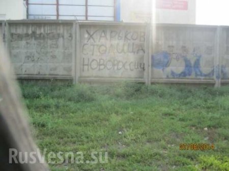 Одессу и Харьков разрисовали надписями в поддержку Новороссии (фото)