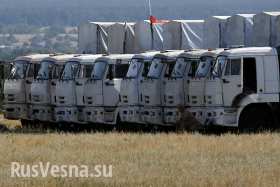 Российские таможенники начали оформлять первые машины из второго гуманитарного конвоя