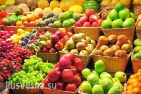 Китай создал площадку прямого экспорта в РФ овощей и фруктов