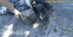Что оставили после себя каратели из батальона «Айдар» (видео 18+)