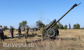 Ополчение Новороссии — стрельба артиллерии и интервью (видео)