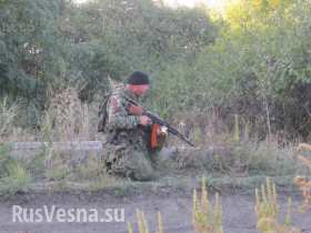 Вечернее сообщение Информбюро Новороссии: по данным разведки, каратели массово размещают снайперские группы на линии соприкосновения
