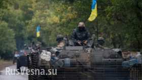 Что оставили после себя украинские каратели - найдены десятки массовых захоронений (видео)