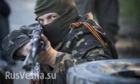 Ополчение ЛНР выпустило 150 украинских силовиков из «котла» под Смелым