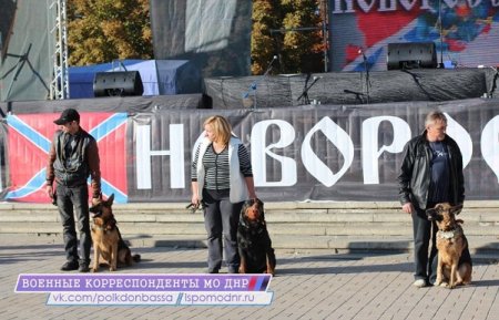 Сегодня на площади Ленина Донецк праздновал свой первый временной юбилей — полгода своей независимости