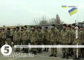 Из Запорожья на Донбасс отправилось новое карательное спецподразделение «Сармат» (видео)