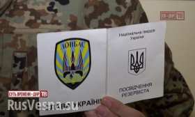 Допрос пленного боевика из батальона «Донбасс» (видео)