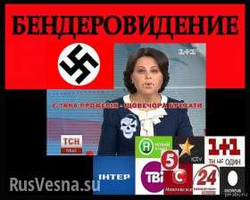 «Шутки» СМИ о событиях в Грозном могут привести Украину к войне с мусульманами (видео А. Шария)