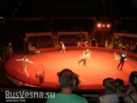 Жизнь продолжается - Донецкий цирк возобновил свои представления (видео)