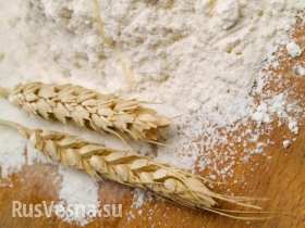 ДНР ограничивает вывоз зерна на Украину