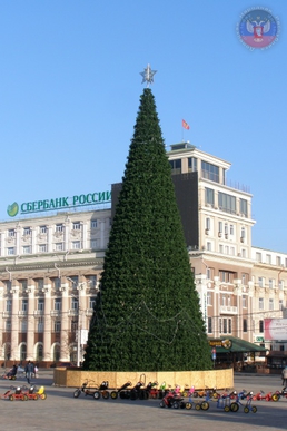 Донецк украсили новогодней елкой