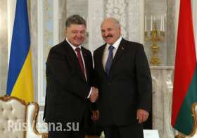 Лукашенко поддержал хунту и договорился с Порошенко о создании совместного телеканала Украины и Белоруссии