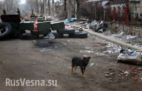 Сводка: оккупанты обстреляли территорию Новороссии не менее 11 раз из минометов и пулеметов, есть раненые