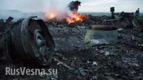 МОЛНИЯ: малайзийский Boeing-777 сбил украинский летчик — капитан Волошин (добавлено видео)